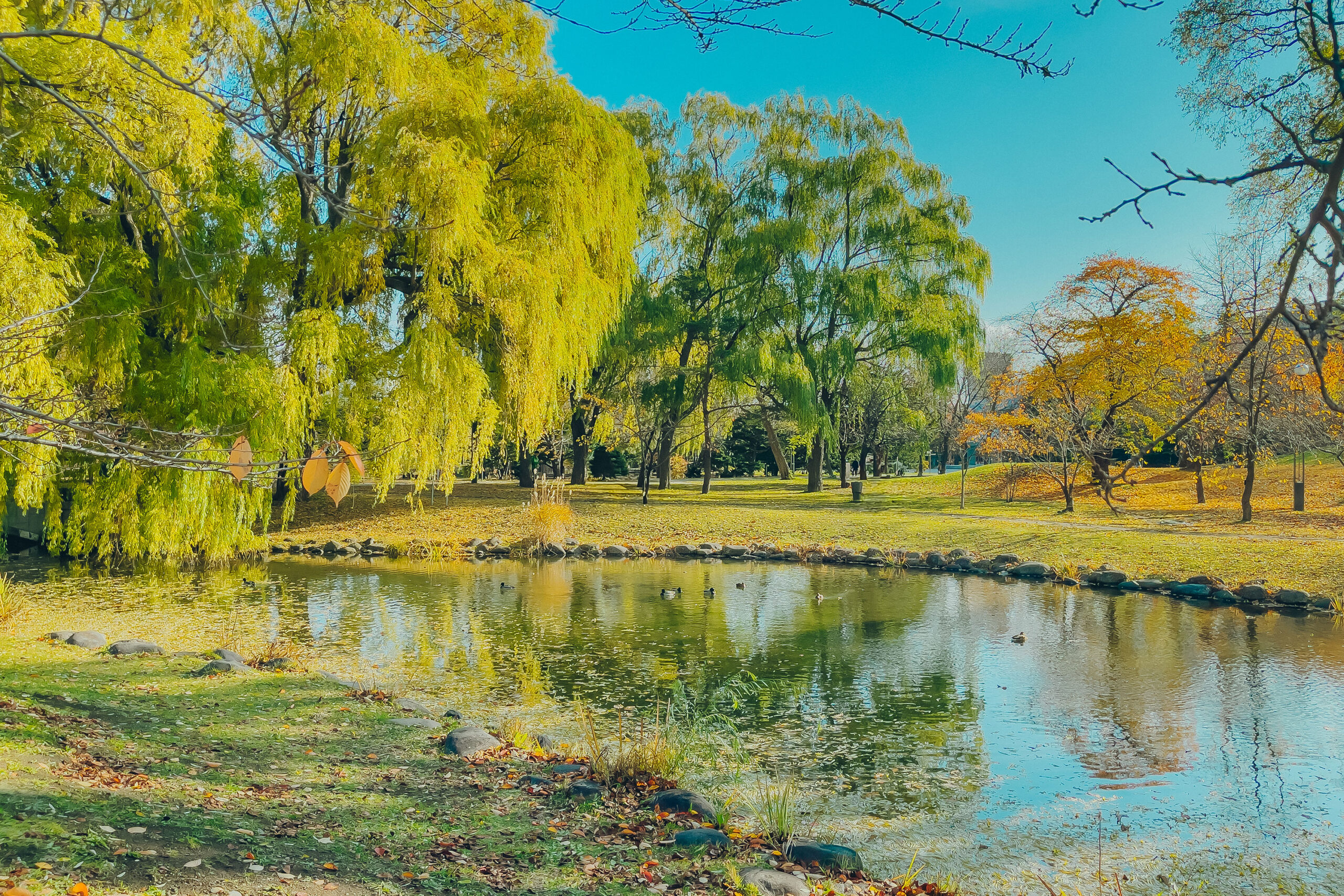 中島公園