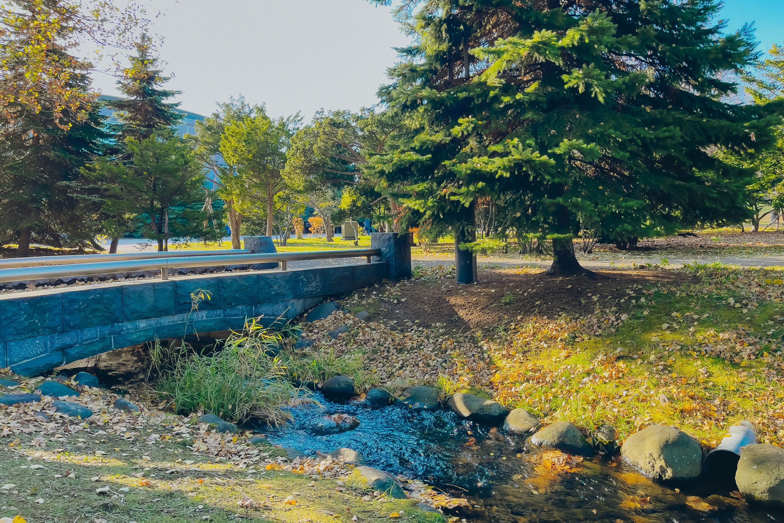 中島公園